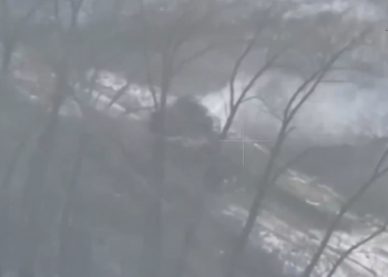 Морпехи Севастополя разгромили колонну ВСУ, идущую на прорыв в Курской области