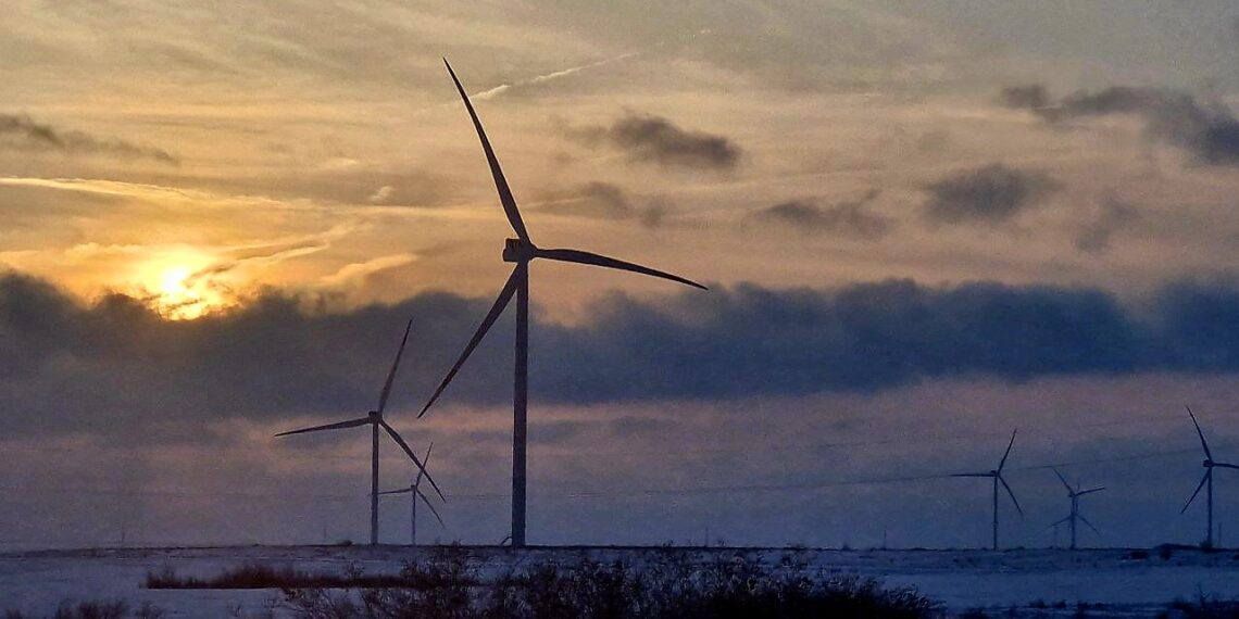 Фото: Марина Ярцева