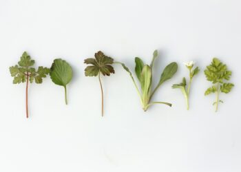 Старейшее фармпредприятие Самарской области чиновники лишают лекарственной лицензии