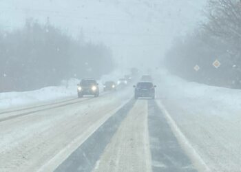 Фото: Анна Крылова