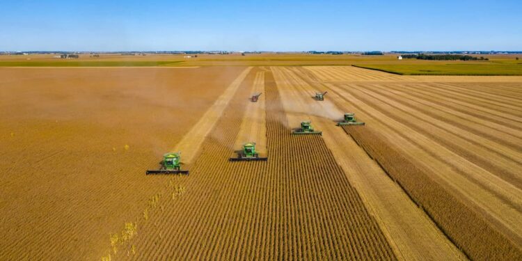 Опубликован рейтинг крупнейших, быстрорастущих, самых прибыльных и рентабельных агрокомпаний Самарской области