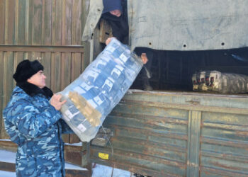 Самарская таможня передала 23 тысяч пар носков и 7,5 тысяч автозапчастей для нужд СВО