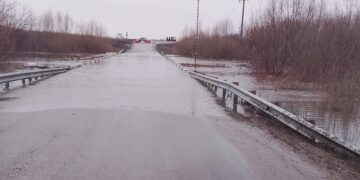 В Самарской области в Пестравском районе паводком затопило мост 