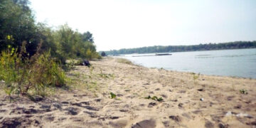 Курылина и Ефанова не заставят чистить пляжи самарского Поджабного от насыпей песка