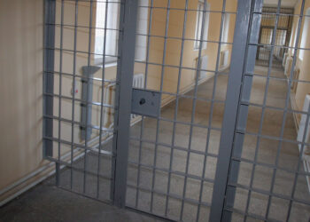 Бухгалтера бенефициара «Биомеда» отправило за решетку исполнение должностной инструкции