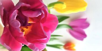 Праздничная афиша выходного дня: куда сходить в Самаре с 7 по 9 марта