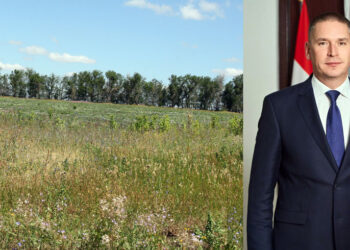 Мэрия Тольятти больше никогда не сможет требовать земли АО «Нива» на окраинах города