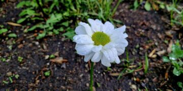 Стало известно, когда в Самарской области потеплеет до +19 °C