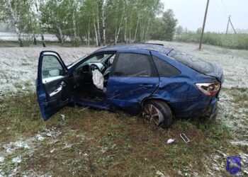 В Самарской области Гранта слетела в кювет и перевернулась