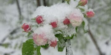 На Самарскую область 28 апреля обрушится мощный снегопад