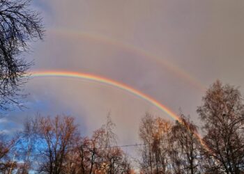 Фото: Александра Русяева