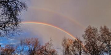 Фото: Александра Русяева