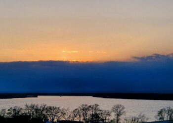 ТОП-5 новостей недели: Общество