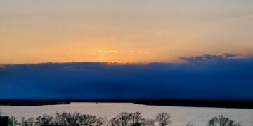 ТОП-5 новостей недели: Общество