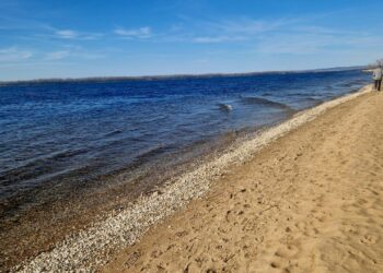 В Самарской области планируют легализовать 21 ранее «дикий» пляж