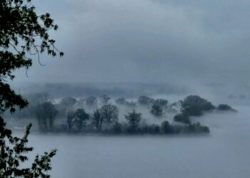 В Самаре остановили движение судов из-за густого тумана над Волгой 