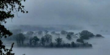 В Самаре остановили движение судов из-за густого тумана над Волгой 