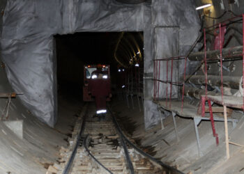 Фото: Игорь Горшков