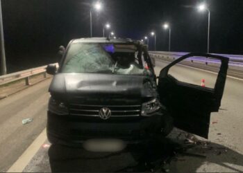 В Самарской области иномарка насмерть сбила лося