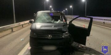 В Самарской области иномарка насмерть сбила лося