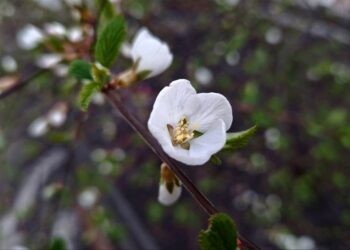 Афиша выходного дня: куда сходить в Самаре с 25 по 27 апреля