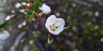 Афиша выходного дня: куда сходить в Самаре с 25 по 27 апреля