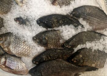 Афиша выходного дня: куда сходить в Самаре с 25 по 27 апреля