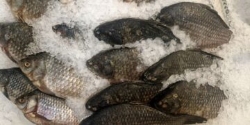 Афиша выходного дня: куда сходить в Самаре с 25 по 27 апреля