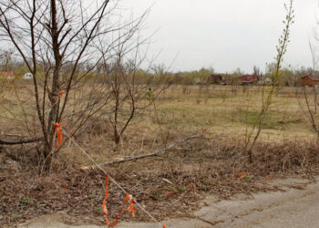 Внук легендарного директора самарского совхоза «Волгарь» оставил родных без наследства
