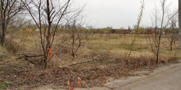 Внук легендарного директора самарского совхоза «Волгарь» оставил родных без наследства