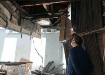 Александр Хинштейн предложил подрядчику в Курской области продать почку «или сразу обе»