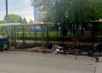 В Самаре дотла сожгли мусорную площадку