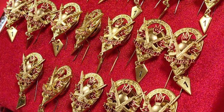 Знак "За штурм", фото: Кирилл Кирягин