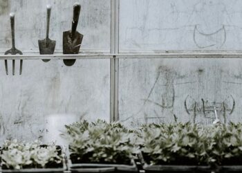 ВТБ зафиксировал на 60% увеличение трат россиян на майских праздниках