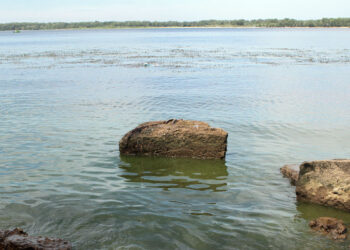 Мэрия Тольятти сделала все, чтобы не получить миллиарды на новые очистные