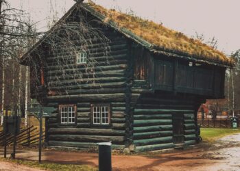 Самарская область вошла в топ-3 регионов РФ по избингу