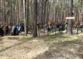 Главу самарского поселения Волжский судят за две тысячи захоронений в сосновом бору