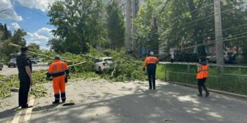 В Самаре дерево упало на два автомобиля