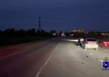 На трассе в Самарской области насмерть сбили пожилого мужчину