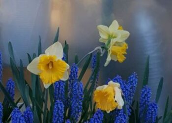 Афиша выходного дня: куда сходить в Самаре с 23 по 25 мая