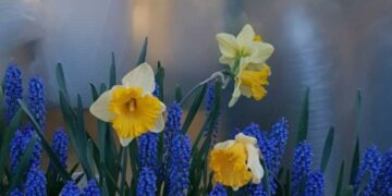 Афиша выходного дня: куда сходить в Самаре с 23 по 25 мая