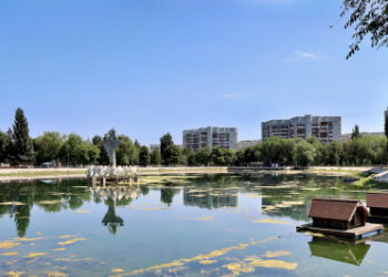 В Самаре в парке Металлургов выпустили более 300 рыб для очистки озера