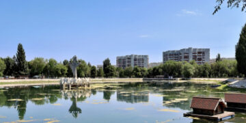 В Самаре в парке Металлургов выпустили более 300 рыб для очистки озера