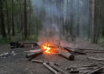 В Самарской области неадекватный мужчина вместе с семьей едва не устроил лесной пожар