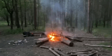 В Самарской области неадекватный мужчина вместе с семьей едва не устроил лесной пожар