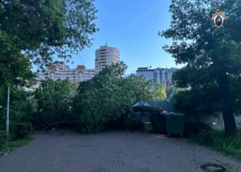 В Самаре рухнувшее дерево раздавило коляску с ребенком