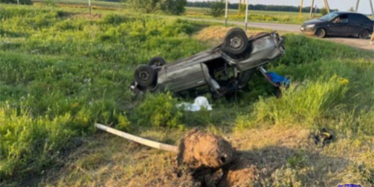 Фото: ГУ МВД России по Самарской области