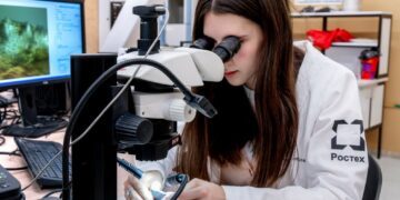 Центральный банк России понизил ключевую ставку до 20%