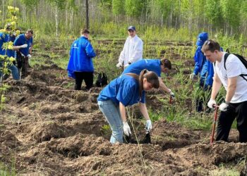 «КуйбышевАзот» выиграл областной конкурс «ЭкоЛидер» в пятый раз