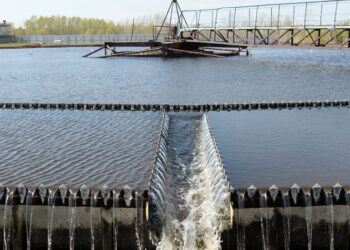 Новокуйбышевские нефтехимики за последние полтора года приняли участие в десятках экоакций